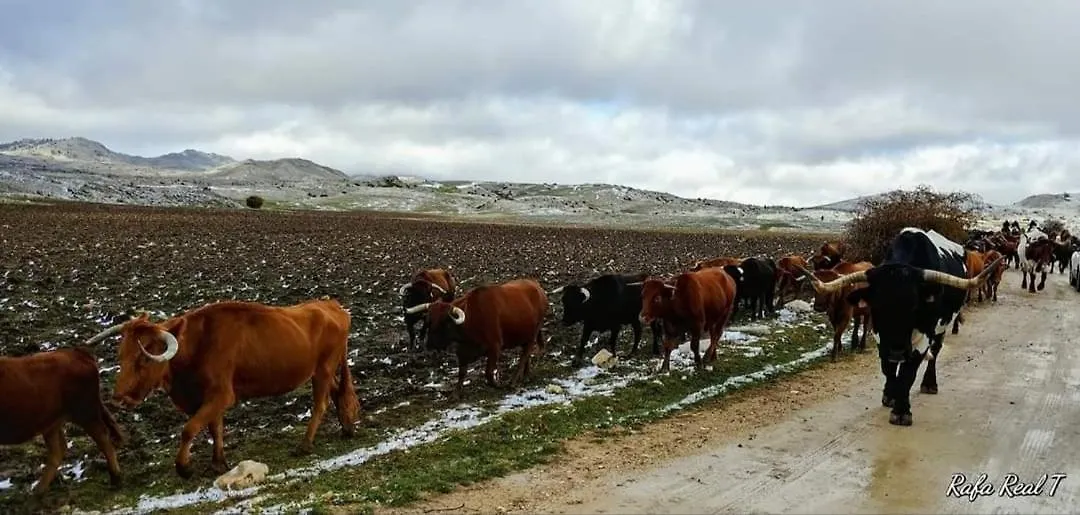 Alojamiento Rural El Penon De Hornos